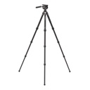 Benro Tortoise 24C with FS36PRO Head