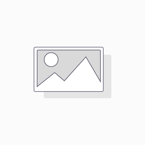 [SHLSL10850-9] Leica SL (Typ 601) Body Grade 9  