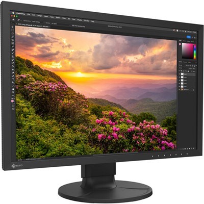 [CS2400S] EIZO ColorEdge CS2400S 24inch IPS LCD Monitor